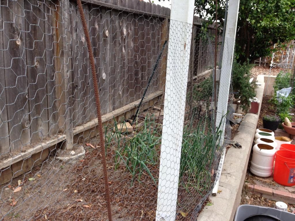  photo Picture001_zps0016ee24.jpg